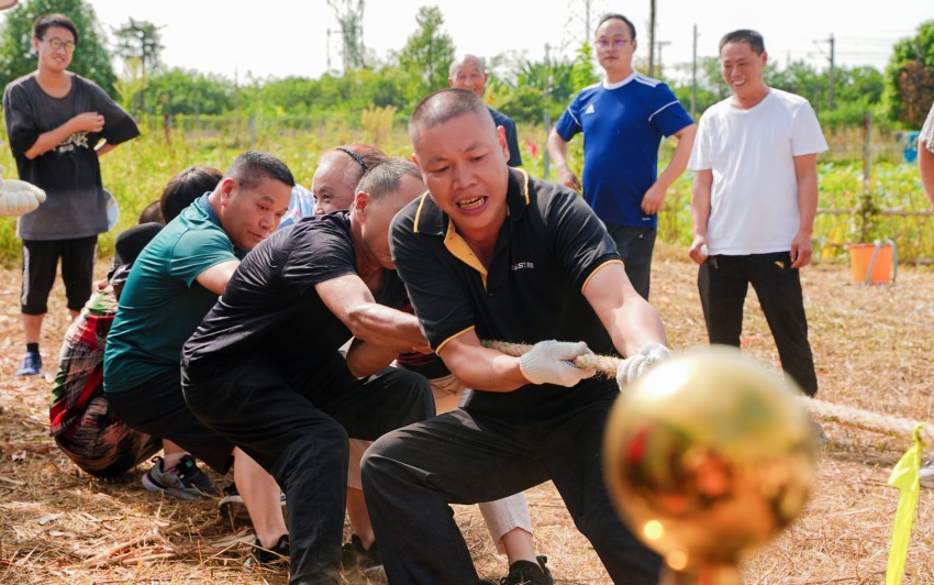 正在進(jìn)行拔河比賽。青白江區(qū)委宣傳部供圖