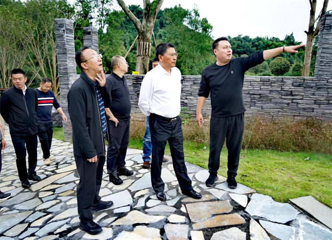 調(diào)研組開展助力“蓉城星力·同心桑梓”招商引資考察。民建成都市委會供圖