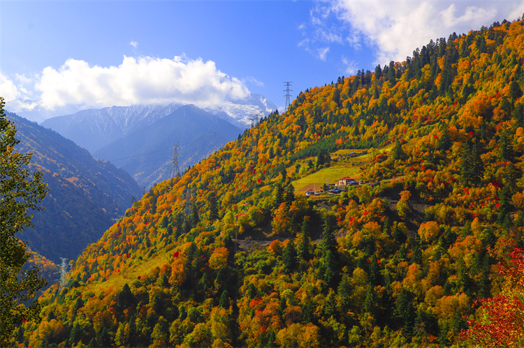 遠(yuǎn)眺三奧雪山。黑水縣委宣傳部供圖
