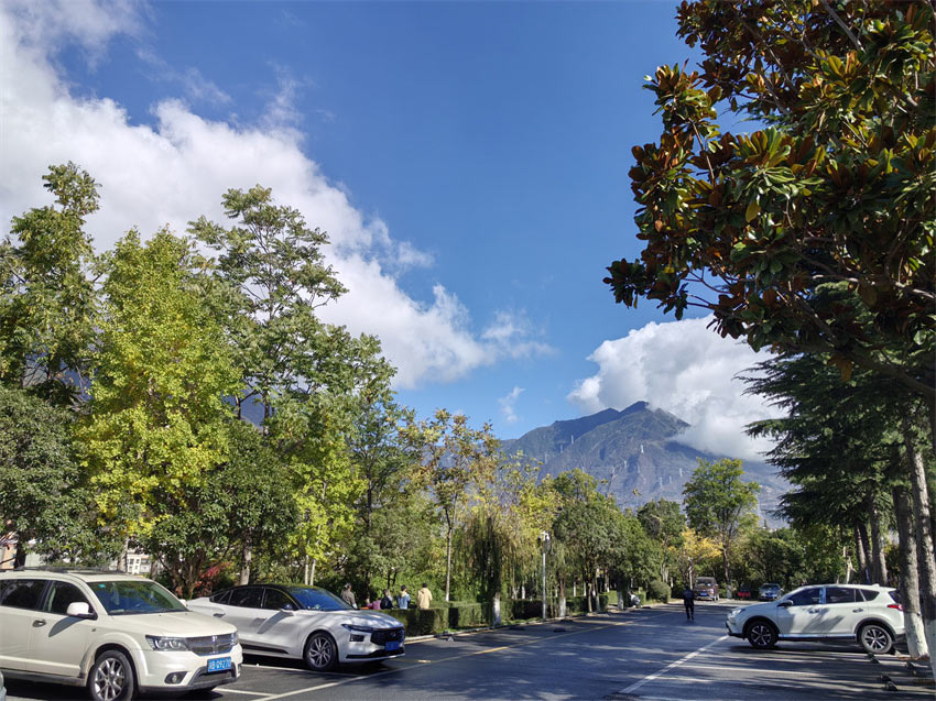 停車(chē)場(chǎng)都是觀(guān)光打卡景點(diǎn)。人民網(wǎng)記者 劉海天攝