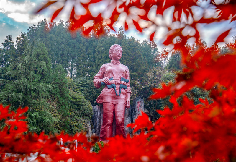 2024年11月10日，位于廣安市華鎣山的“雙槍老太婆”塑像，在紅葉和綠蔭陪襯下顯得格外壯美。邱海鷹、劉南賢攝