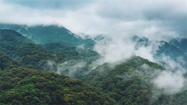 涼山境內(nèi)森林覆蓋率高達(dá)52.16% ，是全國、全省森林火案易發(fā)頻發(fā)極高風(fēng)險(xiǎn)區(qū)。涼山州公安局供圖