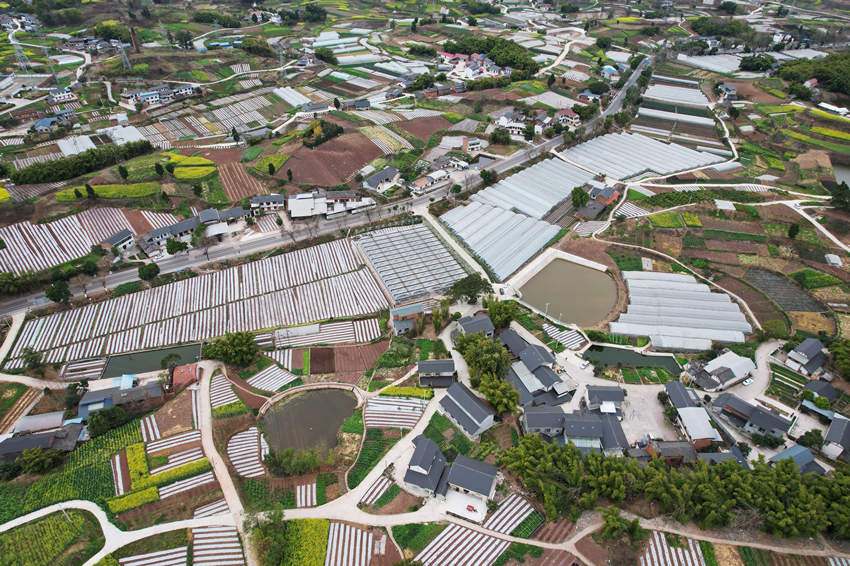 水口村新貌。熊小利攝