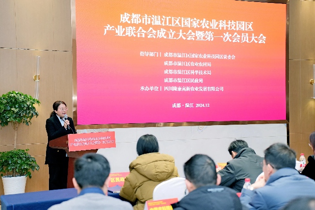 大會現(xiàn)場。主辦方供圖