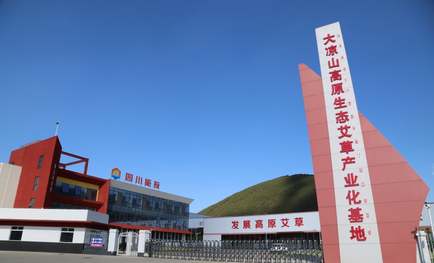 大涼山高原艾草生態(tài)產(chǎn)業(yè)園區(qū)。四川能投集團供圖