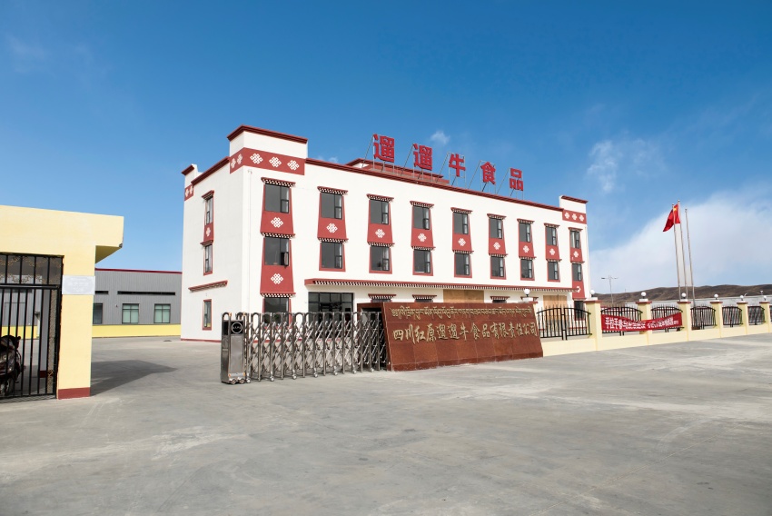 省國(guó)投公司下屬四川省農(nóng)牧業(yè)產(chǎn)業(yè)化發(fā)展省級(jí)重點(diǎn)龍頭企業(yè)——四川紅原遛遛牛食品公司生產(chǎn)基地。省國(guó)投公司供圖