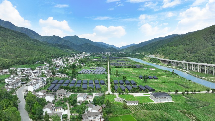 四川港投在青川縣打造的食用菌產(chǎn)業(yè)幫扶示范基地。四川省國(guó)資委供圖