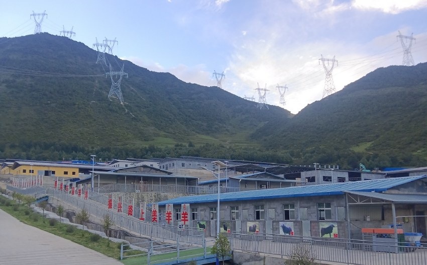 國(guó)家能源四川公司打造的布拖黑綿羊現(xiàn)代農(nóng)業(yè)園區(qū)養(yǎng)殖廠房。四川省國(guó)資委供圖