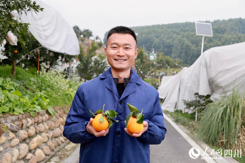 丹棱縣齊樂鎮(zhèn)紅石村的種植大戶郭海。人民網(wǎng)記者 朱虹攝