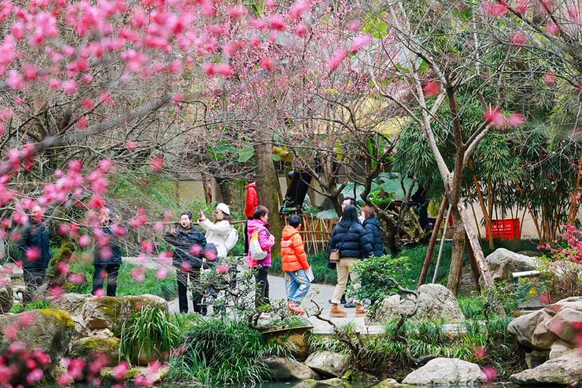 草堂到處是美景，游客隨地都開(kāi)心。杜甫草堂供圖