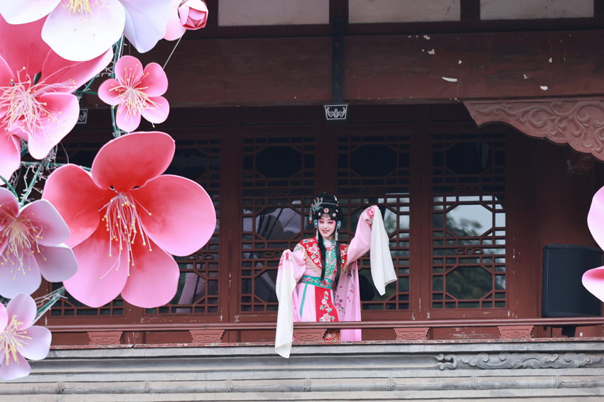 紅梅花畔舞，戲裝美佳節(jié)。杜甫草堂供圖