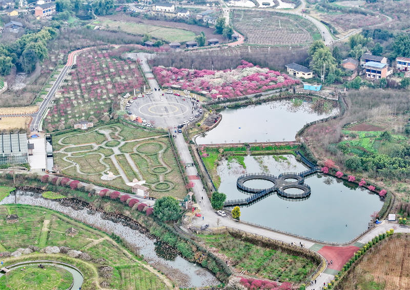 四川省廣安華鎣市祿市鎮(zhèn)涼水井村生態(tài)園，競(jìng)相綻放，吸引不少市民利用周末前來享受春天的氣息和鄉(xiāng)村振興帶來的成果。邱海鷹攝