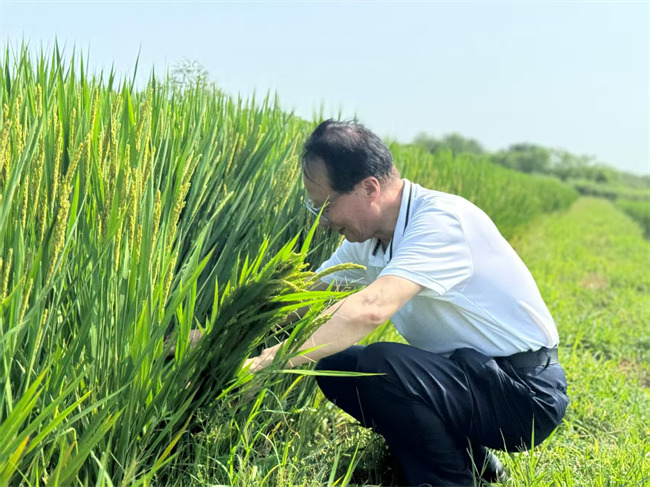 全國人大代表耿福能深入田間地頭調(diào)研。好醫(yī)生集團供圖