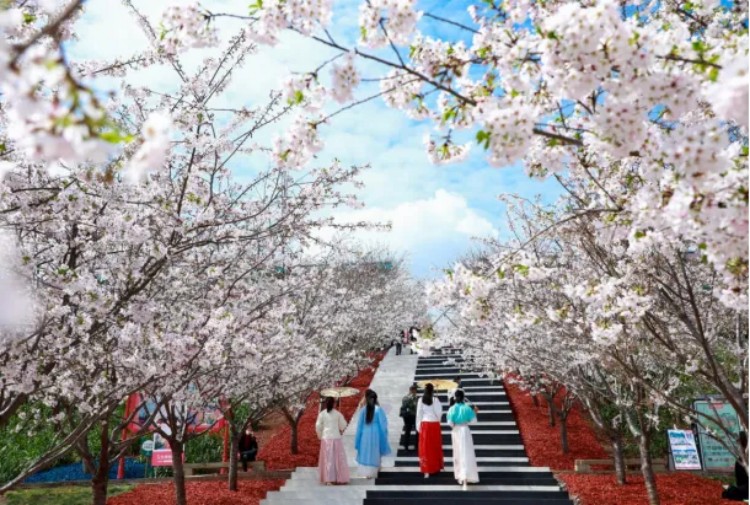 錦門景區(qū)。成都市文廣旅局供圖