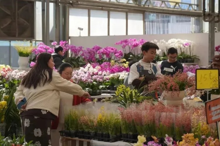 市民在花市選購新鮮花。成都市文廣旅局供圖