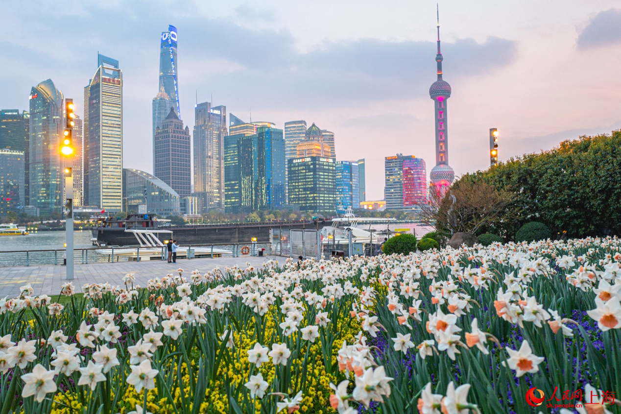 北外灘繁花似錦，景色迷人。 人民網(wǎng)記者 王初攝