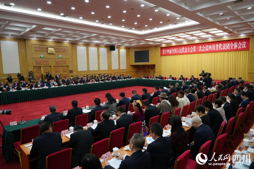 十四屆全國人大三次會(huì)議四川代表團(tuán)舉行開放團(tuán)組會(huì)議。人民網(wǎng)記者 李平攝