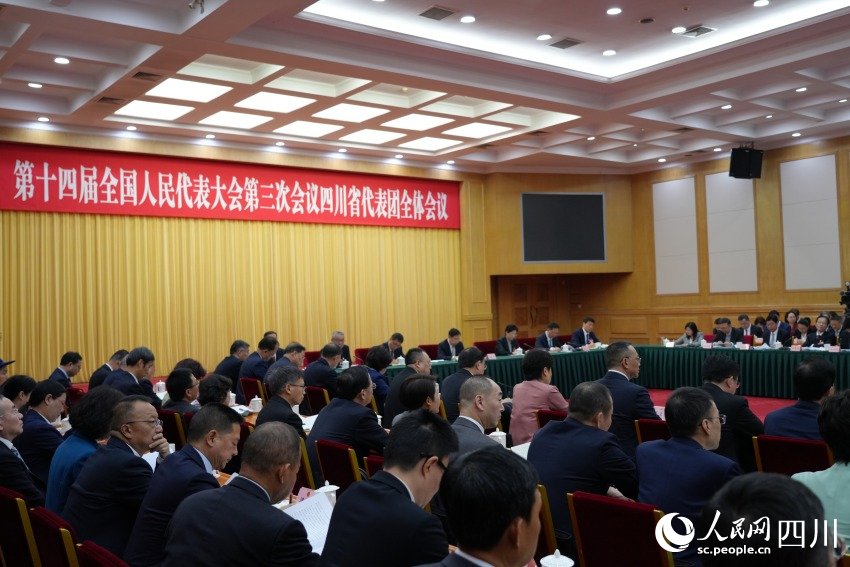 四川代表團(tuán)舉行開放團(tuán)組會(huì)議。人民網(wǎng)記者 李平攝