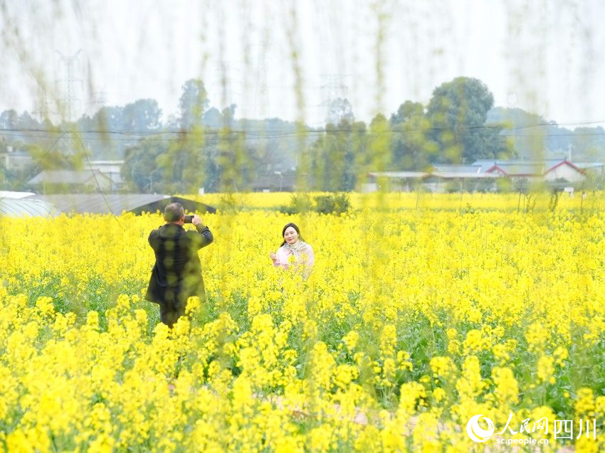 游人們漫步花海拍照打卡。崔宗喜攝