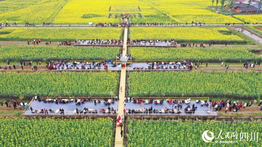 游人們一邊欣賞花海，一邊茶歇燒烤。崔宗喜攝