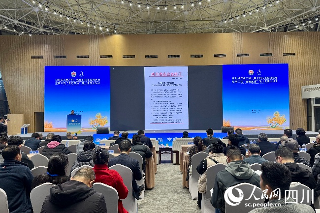 會(huì)議現(xiàn)場(chǎng)。人民網(wǎng)記者 朱虹攝