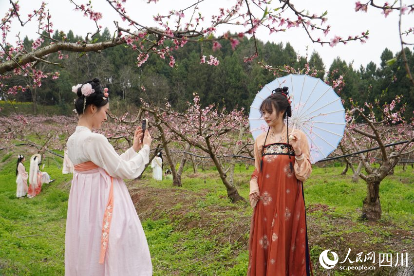 21日,古風愛好者身穿漢服在四川天府新區(qū)眉山片區(qū)貴平鎮(zhèn)龍江村桃花林里游玩拍照。人民網 趙祖樂攝