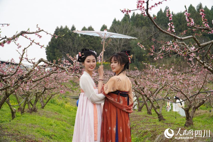 古風(fēng)愛(ài)好者身穿漢服在四川天府新區(qū)眉山片區(qū)貴平鎮(zhèn)龍江村桃花林里游玩拍照。人民網(wǎng) 趙祖樂(lè)攝