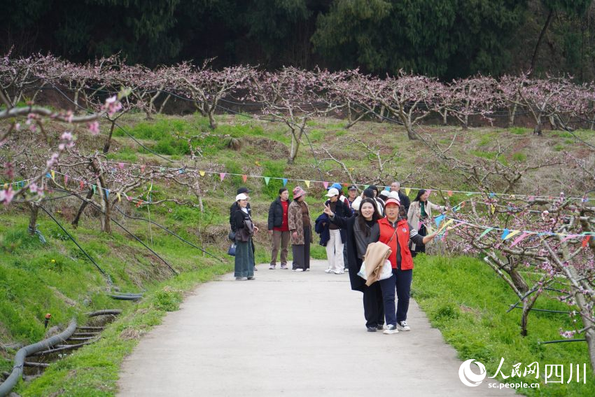游客在桃花林游玩賞花。人民網(wǎng) 趙祖樂(lè)攝