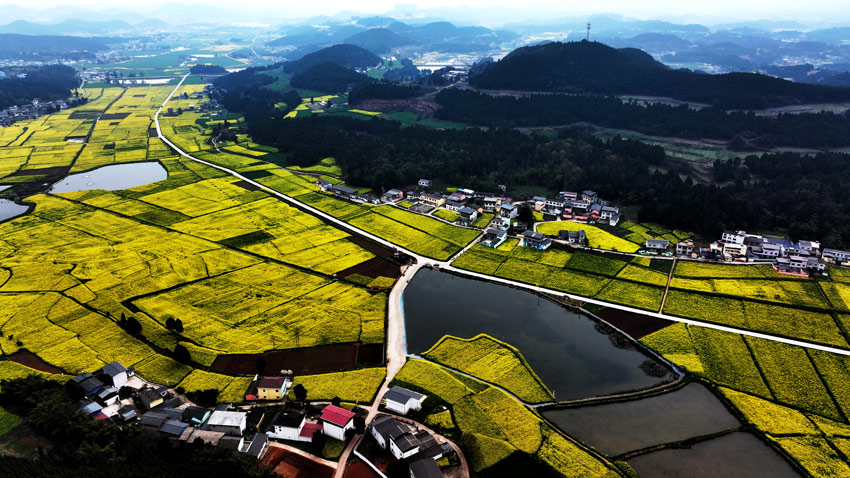 中江縣黃鹿鎮(zhèn)產業(yè)基地。肖開豐攝
