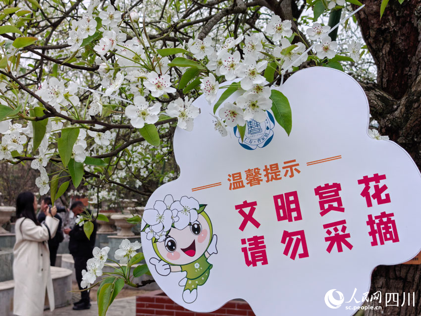 文明賞花花更美。人民網記者 劉海天攝