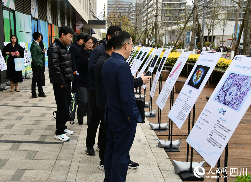 “微觀世界：細胞之美”醫(yī)學攝影大賽作品展。實習生 張思男攝