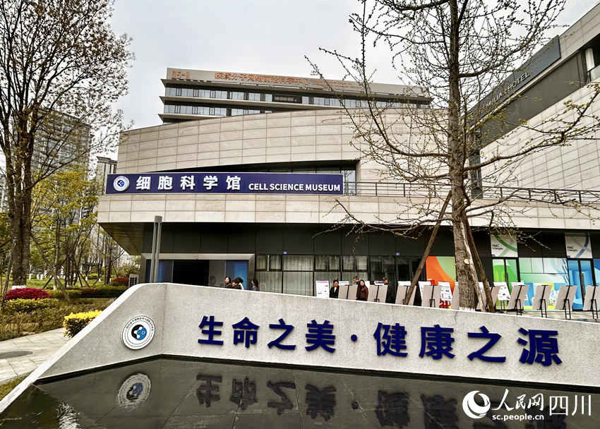 位于成都前沿醫(yī)學中心的細胞科學館。人民網 彭茜攝
