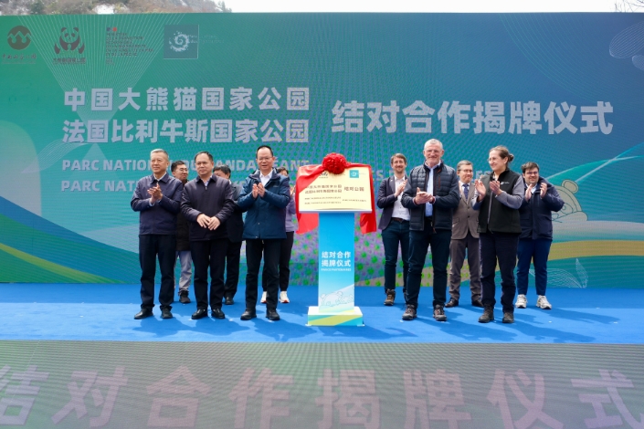 4月1日，中國大熊貓國家公園與法國比利牛斯國家公園結(jié)對合作揭牌儀式現(xiàn)場。新華社記者 張雅雯 攝