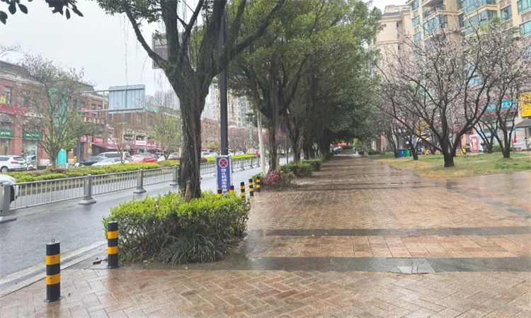 萬安街道雅居樂花園小區(qū)外干凈整潔，煥然一新。四川天府新區(qū)融媒體中心供圖