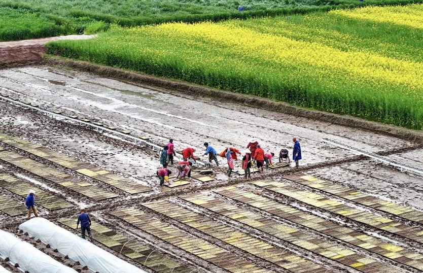 齊心協(xié)力，為新一年的農(nóng)業(yè)豐收鉚足干勁。