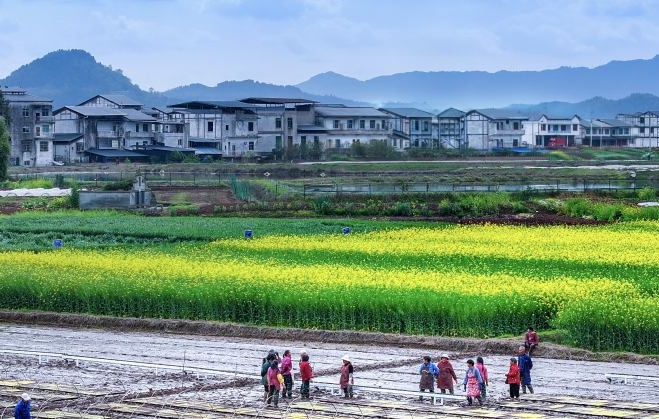 村民正在春耕備耕。