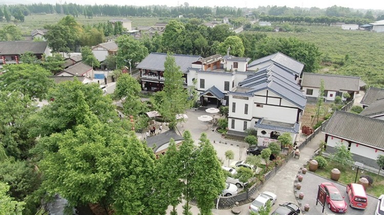 九龍鎮(zhèn)棚花村。綿竹市融媒體中心供圖