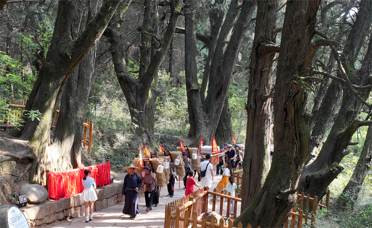 翠云廊景區(qū)再現(xiàn)古蜀道上繁榮景象。劍閣縣委宣傳部供圖