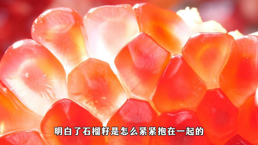 石榴籽緊緊抱在一起，中華民族緊緊團(tuán)結(jié)在一起。受訪者供圖