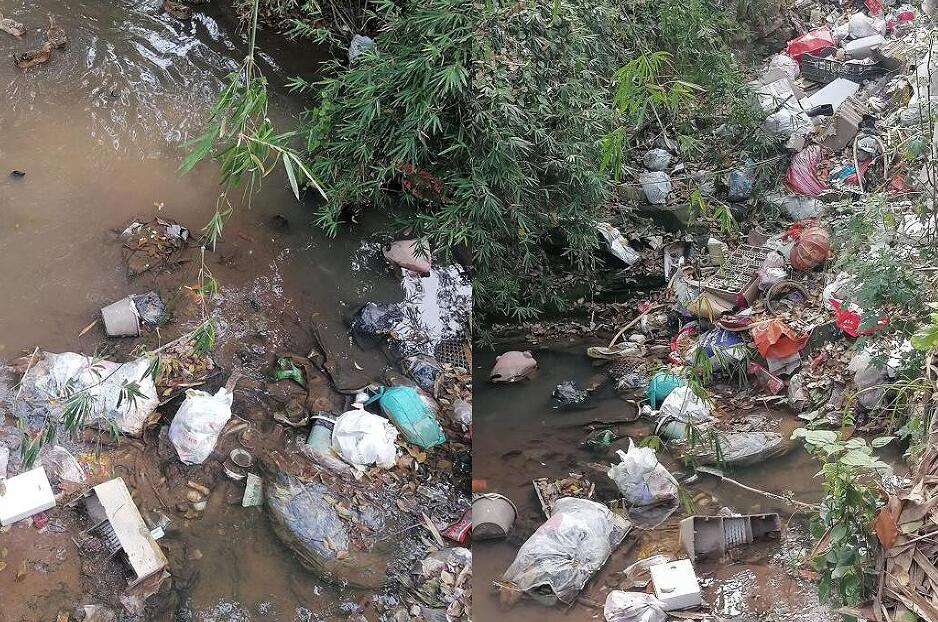 網(wǎng)友拍攝的河道中的垃圾