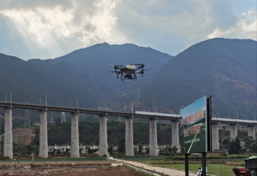 德昌縣糧經復合產業(yè)園超高產示范基地首次嘗試用無人機施肥現場。德昌縣委宣傳部供圖