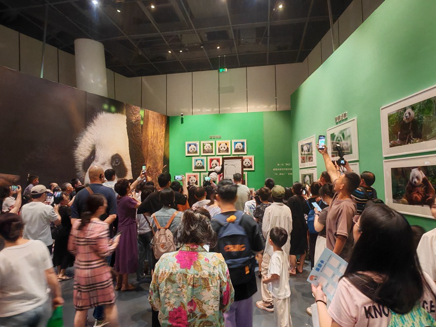 “自然謎語·博物致知”——518走進(jìn)成都自然博物館系列主題活動(dòng)。主辦方供圖