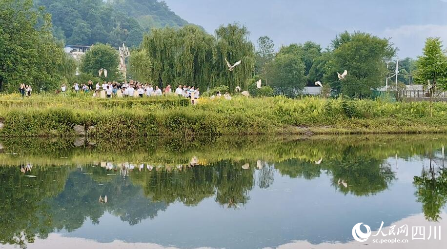 朱鹮放飛現(xiàn)場(chǎng)。人民網(wǎng)記者 朱虹攝