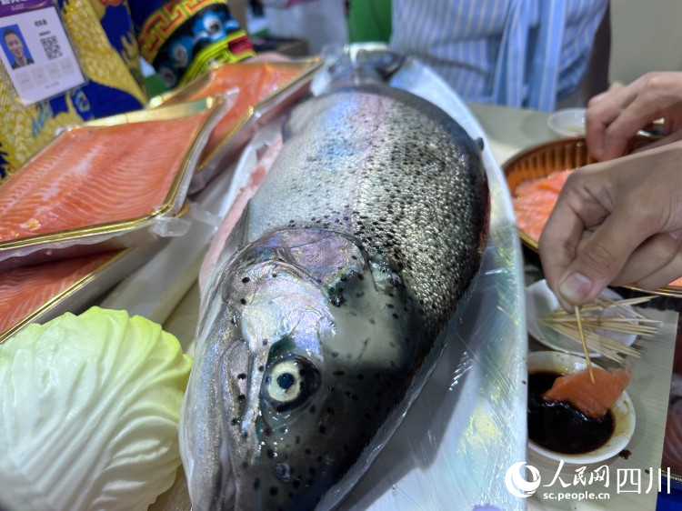 理縣生態(tài)養(yǎng)殖魚。人民網(wǎng)記者 王波攝