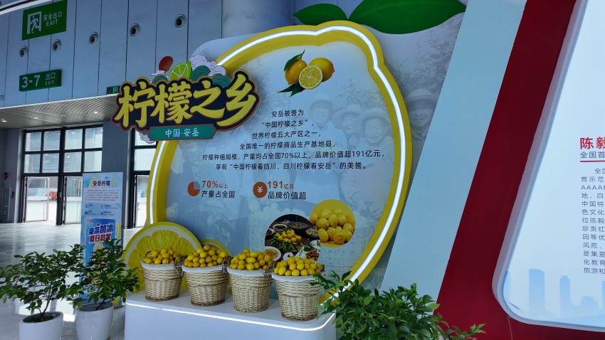 資陽(yáng)本土農(nóng)產(chǎn)品。何婧雯攝