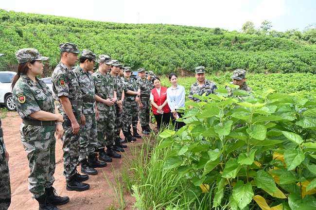 參觀桑園。蔣兵供圖