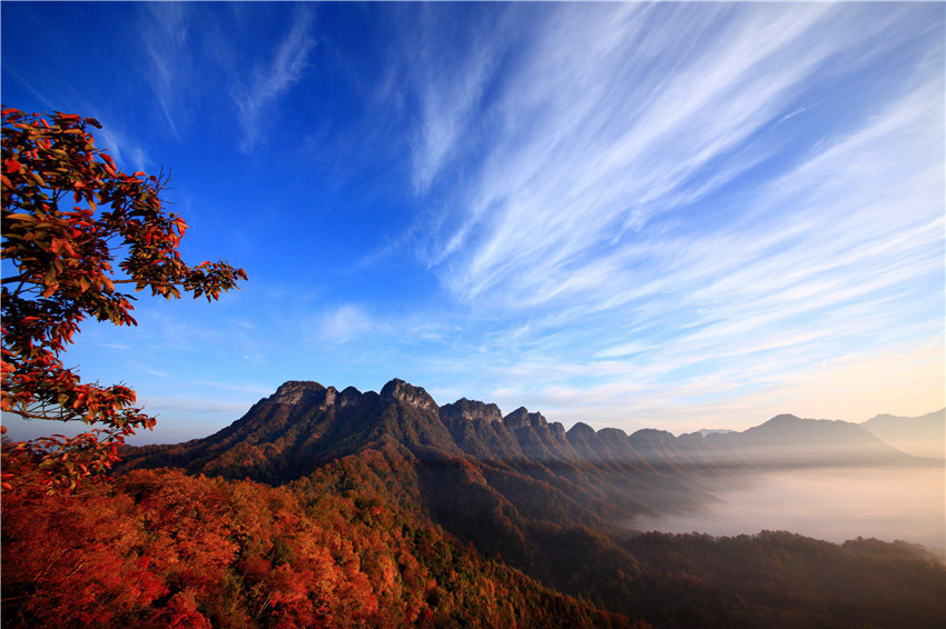 紅葉翩翩舞秋風(fēng)。
