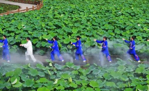 沉浸式中醫(yī)藥文旅體驗活動在荷塘間打太極拳，在花叢中學(xué)八段錦，在藥田里包中藥粽……這些既酷又時尚的活動，在鄉(xiāng)村刮起一股“國潮風(fēng)”。