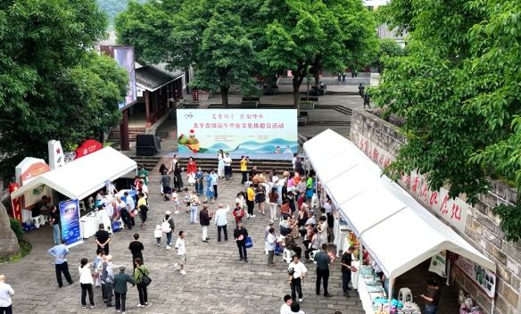 端午節(jié)中醫(yī)文化活動層出不窮