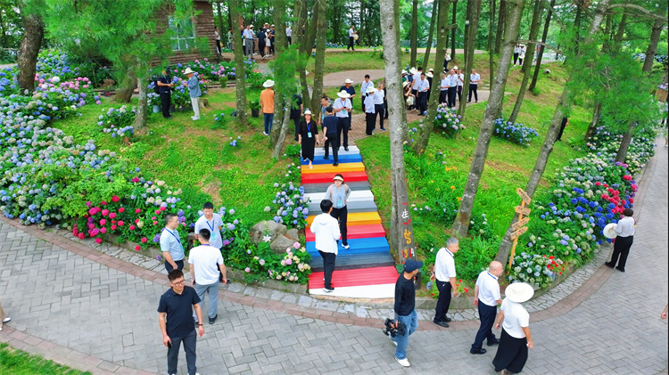 嘉賓們考察廣元民宿。廣元市融媒體中心供圖